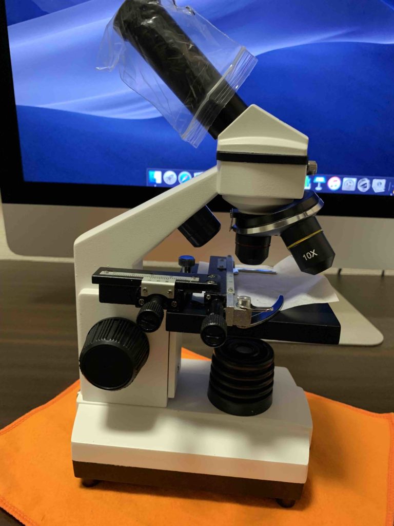 MAXLAPTER 顕微鏡　小学生　自由研究　課題